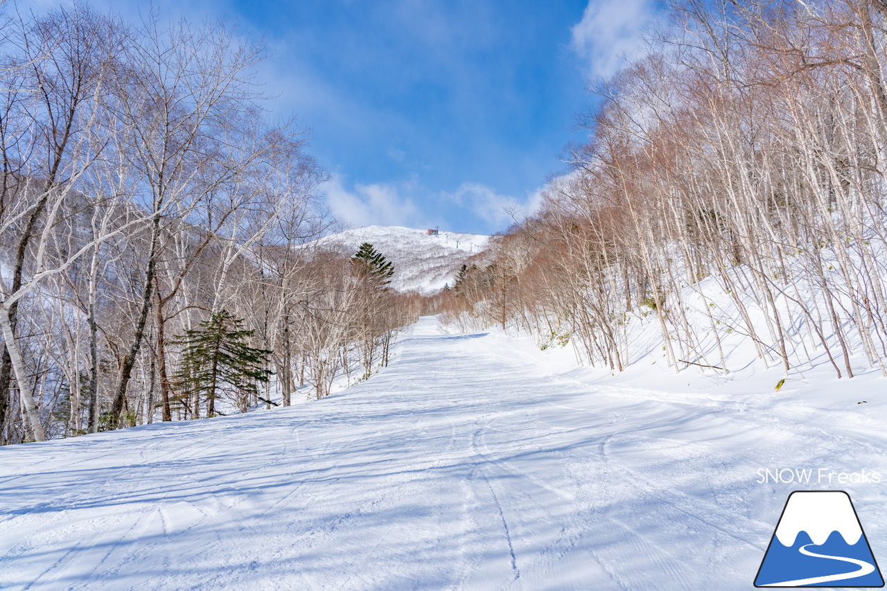 十勝サホロリゾート｜道東の粉雪はレベルが違う☆抵抗感皆無のさらさらパウダースノーへ滑り込め！(*^^*)